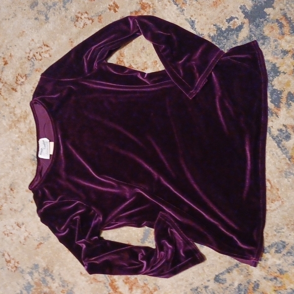 🙋Always Caroline petite vintage velour long sleeve top S 10-12 - Picture 10 of 10